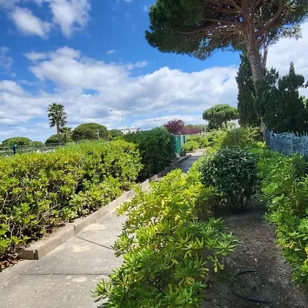 Appartement Terrasse 3 Entre Et Port De Plaisance *